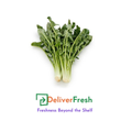 Chicory - (Bunch)