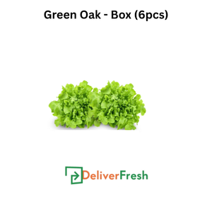 Two pieces of green oak lettuce with DeliverFresh