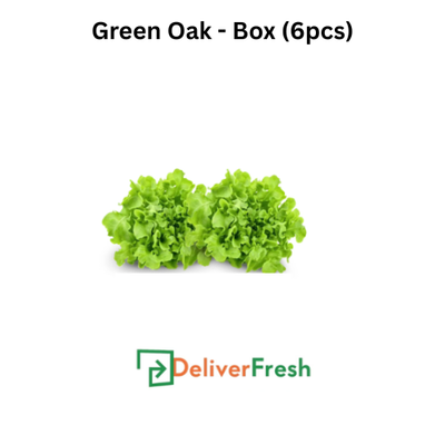 Two pieces of green oak lettuce with DeliverFresh