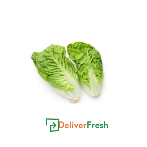 Baby Twin Cos Lettuce -(2 Packs)
