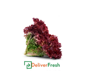 Lollo Rosso lettuce with DeliverFresh
