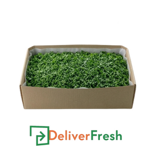 Shredded Parsley