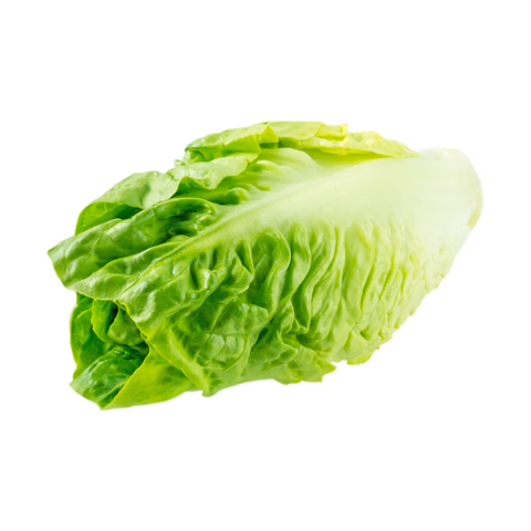 Lettuce Midi Cos - (Each)