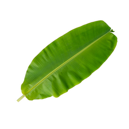 Banana Leafs - 1 kg pack