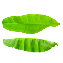 Banana Leafs - 1 kg pack