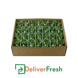Box of Vietnamese coriander with 'Deliver Fresh'