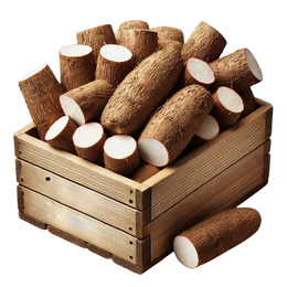 Cassava - box