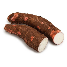 Cassava - box