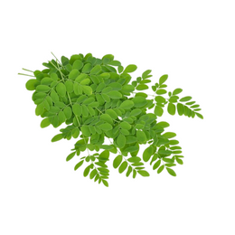 Drumstick leaves - Kg