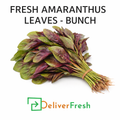 Fresh Amaranthus (Amaranth Leaves)