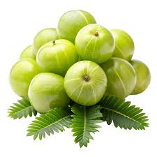 Fresh Amla (Indian Gooseberry)