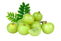Fresh Amla Berries (Indian Gooseberry)