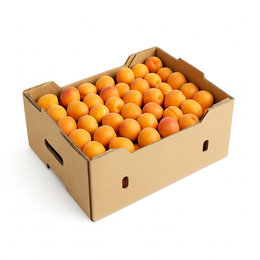 Fresh Apricots