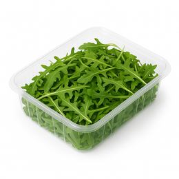 Baby Rocket (Arugula)
