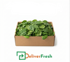 Baby Spinach Washed and Sanitised1