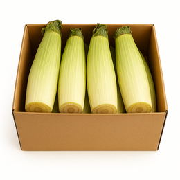 Banana Stem - Box (10Kg)