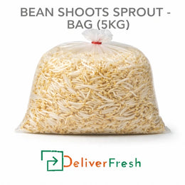 Bean Shoots Sprouts