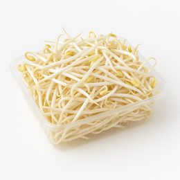 Beans Sprouts - Punnet (250g)