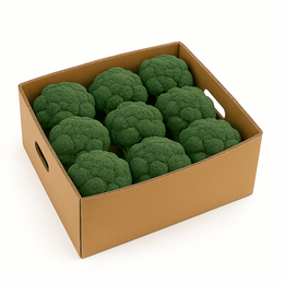 Broccoli - Kg