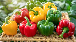 Capsicum Sweet 5Kg - Box