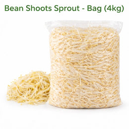 Bean Shoots Sprouts