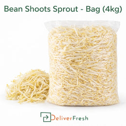 Bean Shoots Sprouts