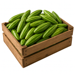 Tindora 10Kgs- Box