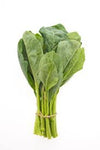 Chinese Broccoli