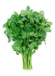 Coriander Special - Bunch