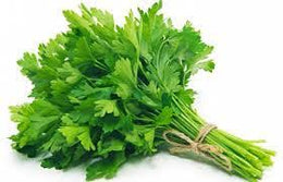 Coriander Special - Bunch