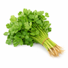 Coriander 1 Bunch DeliverFresh
