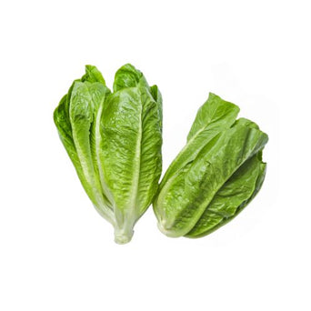 Lettuce Cos Heart- Lettuce Whole Cos Large - Box