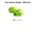 Cos Lettuce Single - (1Bunch)