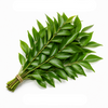 Curry Leaves - (1Bunch)