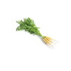 Carrots Dutch White - (bunch)