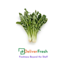 Chicory - (Bunch)