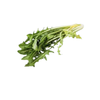 Chicory - (Bunch)