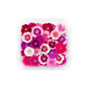 Edible Flowers Petticoat - (Punnet)