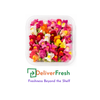 Edible Flowers Snap Dragon