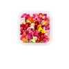 Edible Flowers Snap Dragon - (Punnet)