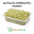 Fresh Alfalfa (Sprouts)