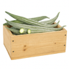 Snake Gourd - Box (12kg) DeliverFresh