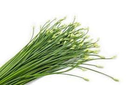 Garlic Chives - Bunch