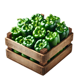 Capsicum Green