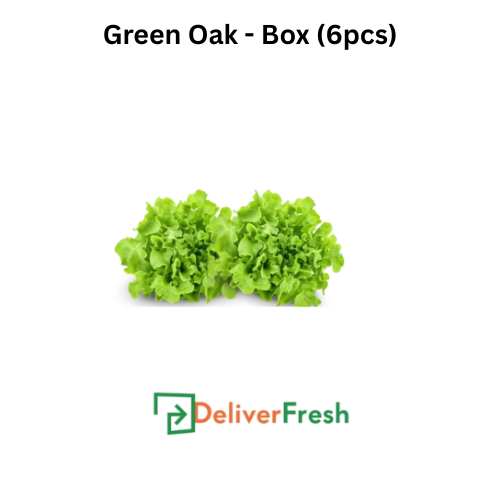 Two pieces of green oak lettuce with DeliverFresh