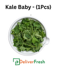 Kale Baby - (1Pcs)