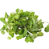 Kale Baby DeliverFresh