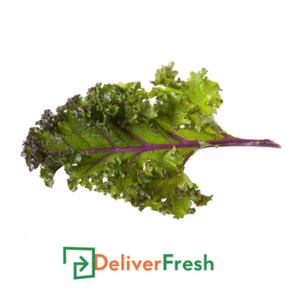 Bunch of red kale with DeliverFresh 