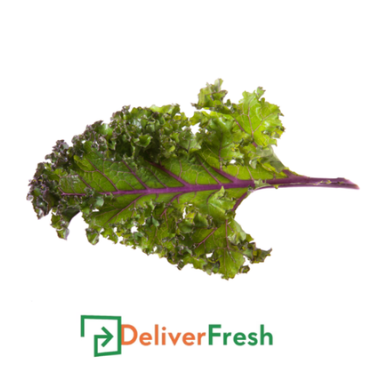 Bunch of red kale with DeliverFresh 