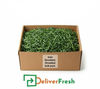 Kale Shredded Shredded 2mm 1kg / 2kg  /  5kg 1